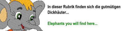 Elefanten / Elephants