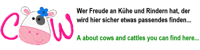 Kühe / Cows